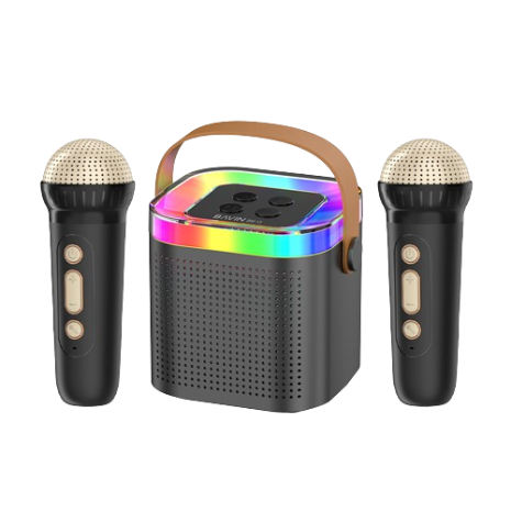 BAVIN BM13 Karaoke Speaker Wireless Bluetooth Portable 5.3V HiFi Audio Sounds Two Mic
