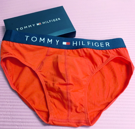 Tommy Hilfiger Men Underpants Sexy Men Briefs