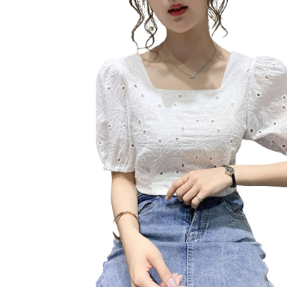 Lovito Women Casual Plain Eyelet Embroidery Ruched Blouse L68ED349 (Multi-color)