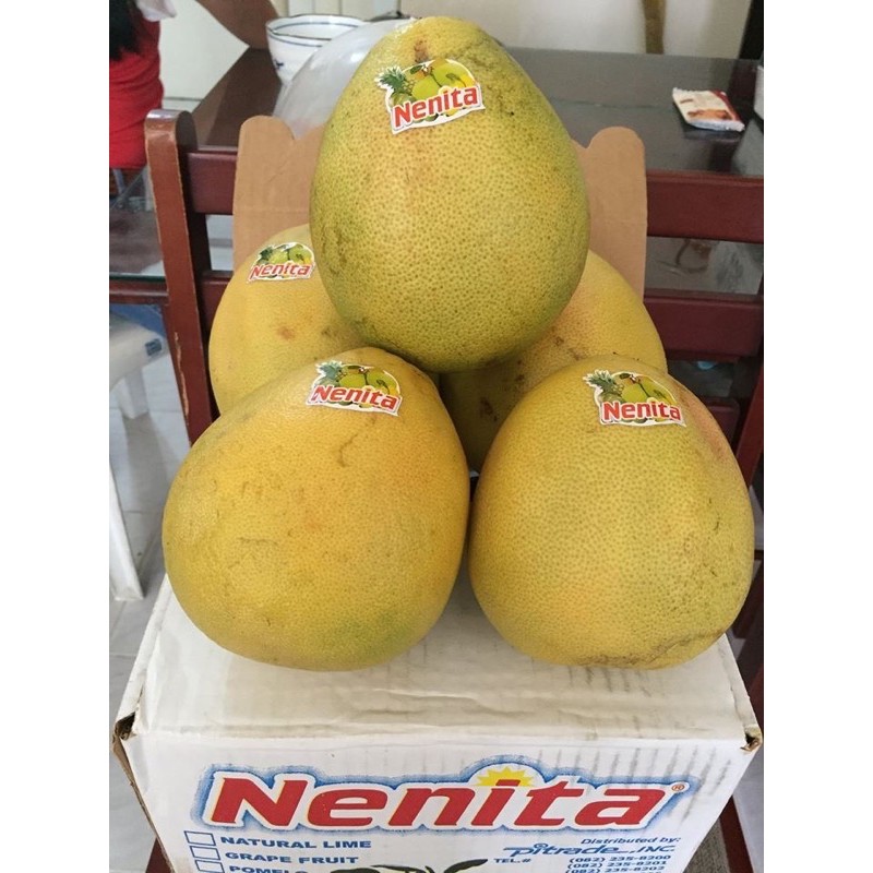 Menzi and Nenita Pomelo 1Box