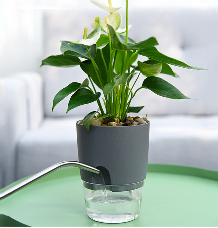 Water Inlet Self Watering Pot White Pots For Plants Indoor Outdoor Flower Pot Clear Bottom Planter