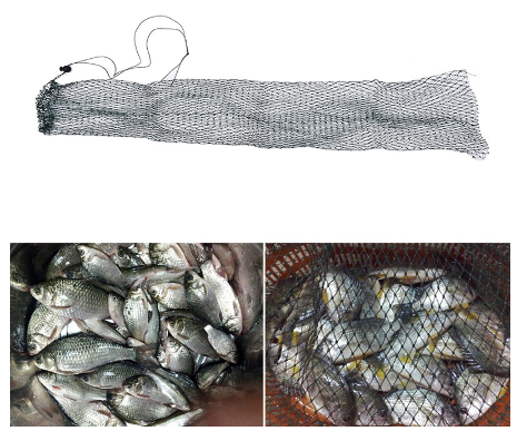Fishing Net Trap Fishing Mesh Network Foldingfish Bag Small Fishing Tackle Mesh