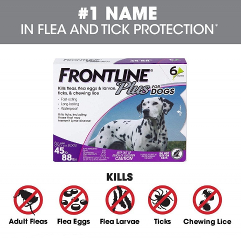 Frontline Plus Insect Repellent For Dog Flea and Tick Spot Treatment for Dogs