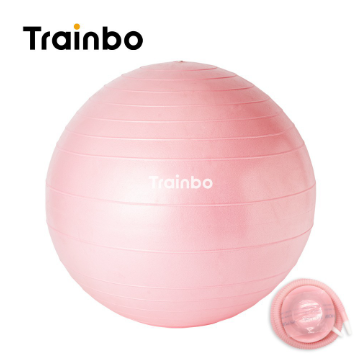 Trainbo Yoga Ball Fitness Exercise Balls Balance Pilates Workout Ball With Free Air Pump 65CM
