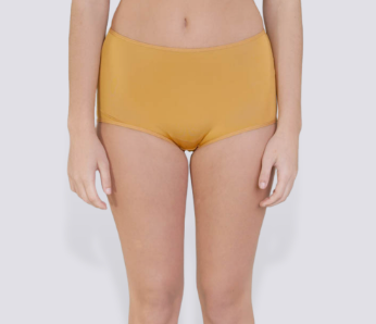 Barbizon Color Your Life High Waist Bikini Panty Women Underwear