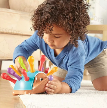 Montessori Educational Toy Hedgehog Sensory Learning