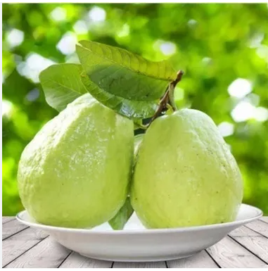 Guava Seed Organic Vegetable Fruit Seeds Bonsai Guava Tree Plant Pot fruit Seeds 10 pcs