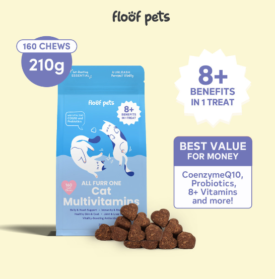 Floof Pets Cat Multivitamin Treat 160 Chew Pouch (Healthy Supplement Snack Food for Pets)