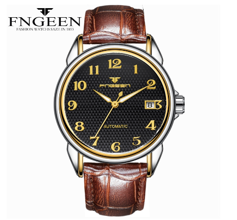 FNGEEN 6608 Men's Automatic Mechanical Watch SILVER GOLD BLACK