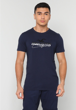 Hollister Large Scale Tech Logo