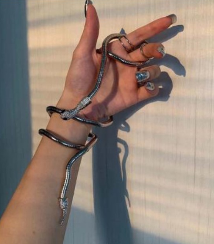 Snake Necklace Bracelet for Women Men Punk Cool Alloy Jewelry