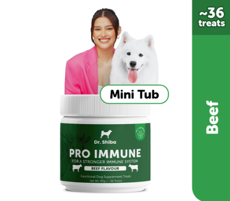 Dr. Shiba Pro Immune Mini Tub - Beef 90g Dog Treats Snack - Dog Food for Immunity Support