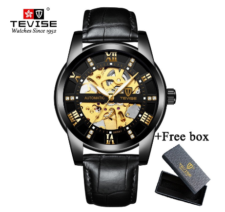 TEVISE Automatic Watch for Men relo Waterproof watch Analog Gold Skeleton Luxury Stainless Steel Steel Luminous 9005A 10
