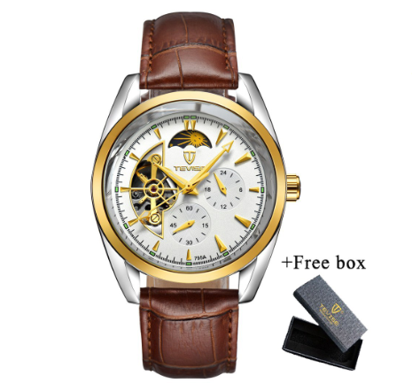 TEVISE Watch for men Automatic analog Skeleton Gold Luxury Stainless Steel Strap Waterproof Tourbillon 795A 7