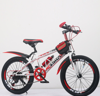 Bicycles 20 Inch Speed Change Standard Mountain Bike Adult Student Bicycle Bike Road Bike