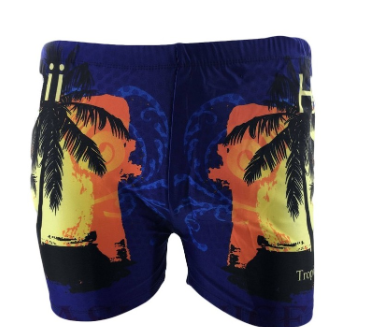 R-030 Men's Swimming Trunks Swimwear Shorts