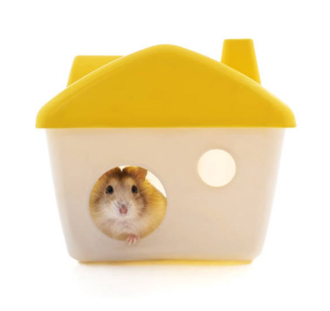 Hamster House Plastic Plastic Hamster House