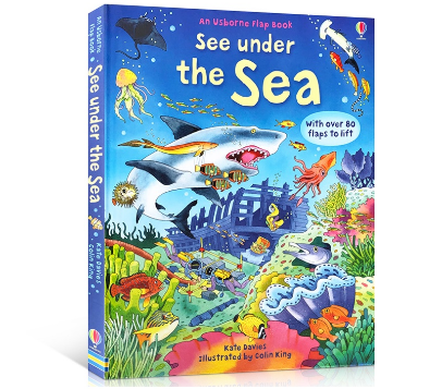 Usborne See Under The Sea Montessori 3D Flap English Picture Book for Kids Educational Reading Book