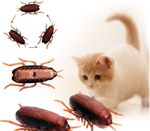 Funny Simulation of Cockroaches Pet Cat Dog Kitten Interactive Training Play Toy