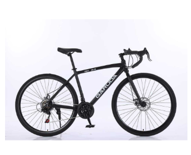 GARUDA EAGLE ALLOY FRAME GRAVEL BIKE EAGLE