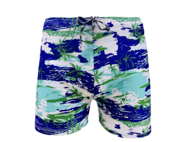 Men's Swimming Trunks Swimwear Short