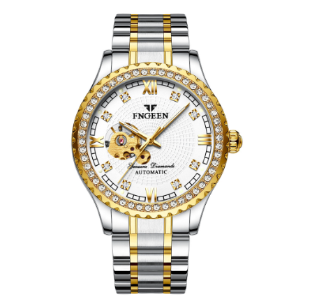 FNGEEN 8073 Men's Automatic Mechanical Watch SILVER GOLD WHITE