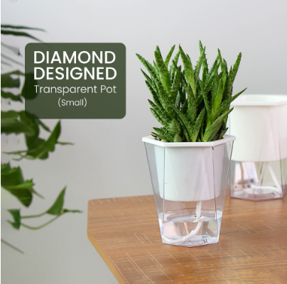 Planter Wicking Flower Plant Pot Clear Transparent Bottom Water Storage Smart Self Watering