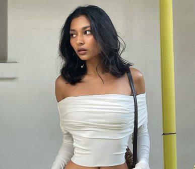 Hot Style Women's Off Shoulder Pleated Long Sleeve Street Tops