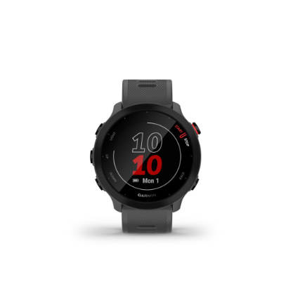 Garmin Forerunner 55, Running Fitness GPS Smartwatch, for Runners, Monterra Gray