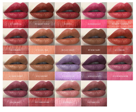 FOCALLURE 19 Colors Easy to Wear Long Lasting Matte Lipstick