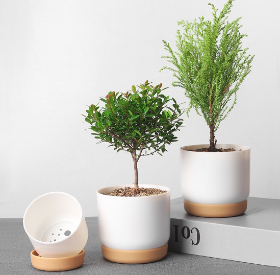 Double Succulents Vase Flower Pots Green Plants Garden Table Decoration