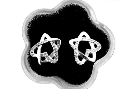 Unisilver 925 Sterling Silver Lady's Earrings stud