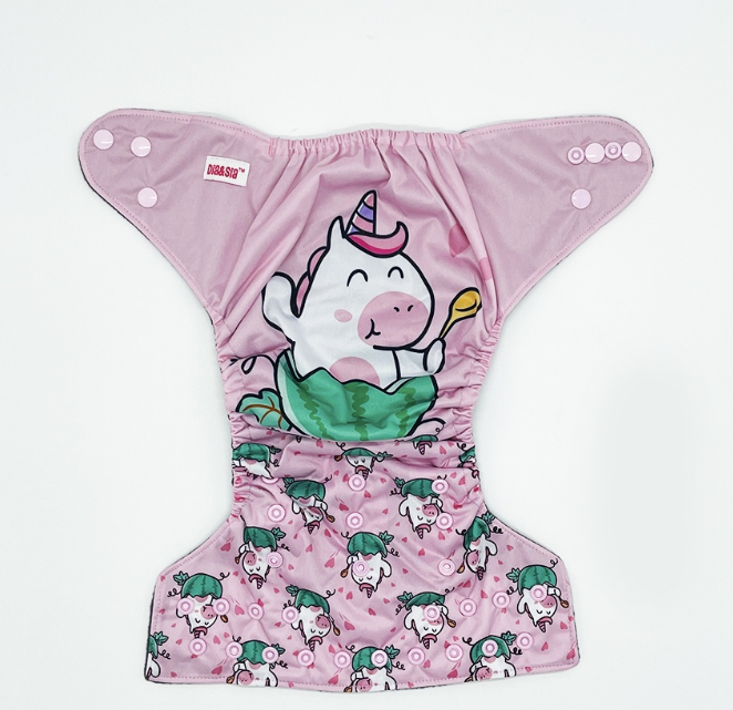 Bamboo Charcoal Cloth Diaper with Bamboo Charcoal Inserts and Double Leg Gusset D17