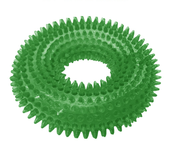Daiso Green Squeaky Pet Toy Donut Shape