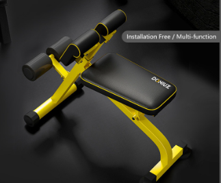 DONIUZ Household Dumbbell Bench Roman Chair Back Hyperextension Foldable Multifunctional Fitness