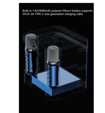 Ys-307 Professional Karaoke Portable Wireless Bluetooth Speaker with Dual Wireless Microphone