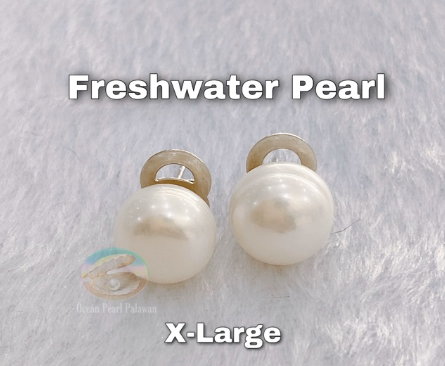 Palawan Freshwater Pearl Earring Stud XL Ordinary