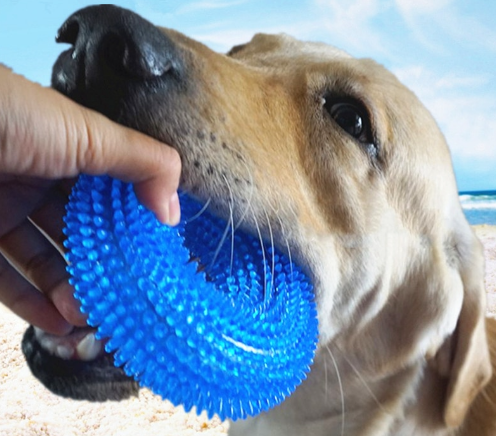 Pet Toys Bite Resistant Sound Toy Ball Chew Teeth Clean Large Dog Golden Retriever Barbed TPR Train Teeth Cleaning