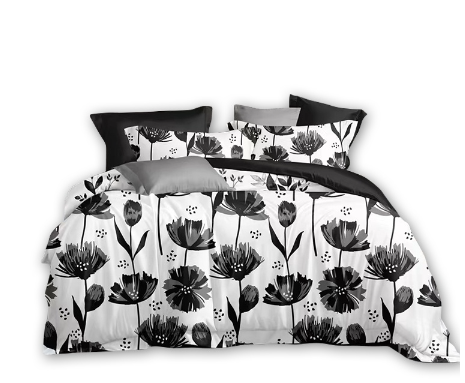 Socone 3IN1 Korea Cotton King Size Bedsheet Set 70*78+7.8 Fitted Sheet 4310-78