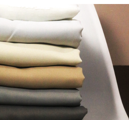 Blackout Curtain With Rings