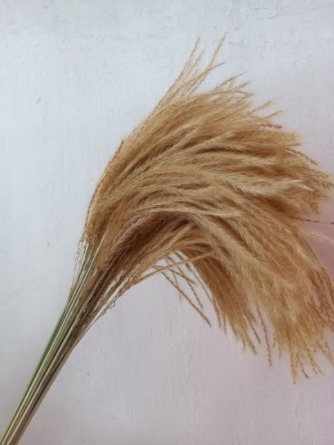 Dried Reed Fluffy Pampas Home Decor