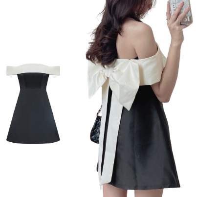 Lovito Women Casual Plain Colorblock Bow Back Zipper Dress L77ED156