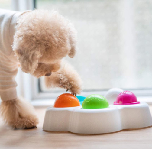 Pet IQ Intelligent Toy for Cat and Dog Puzzle Toys for Kitten Puppy Treat Dispenser Interactive Toy