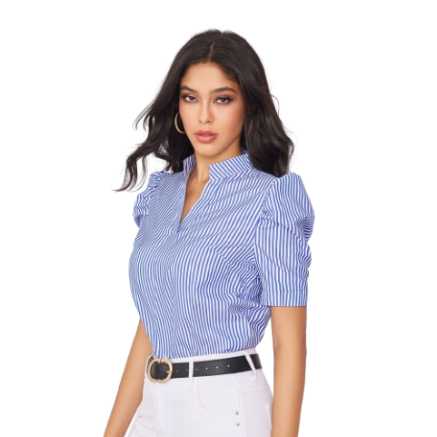 Lovito Women Puff Sleeve Blouse LBE02048 (Blue)