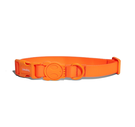 Zeedog Neopro Dog Collar [Tangerine]