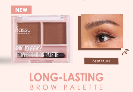 Sassy Colors On Fleek! Eyebrow Definition Palette