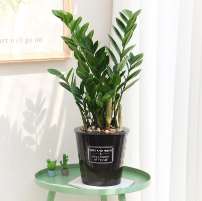 Plastic Metallic Shade Smart Self Watering System Flower Pot Inner Basket Storage Planter