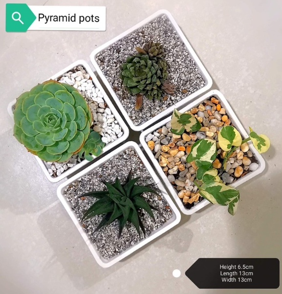 High Quality Pyramid Pots for Succulents, Cactus, and Plants