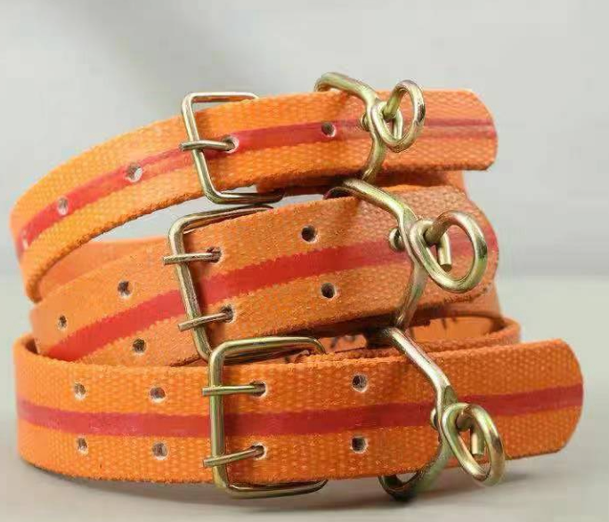 Adjustable Dog Collar Heavy Duty Safety Pet Dog Collar Dog Belt