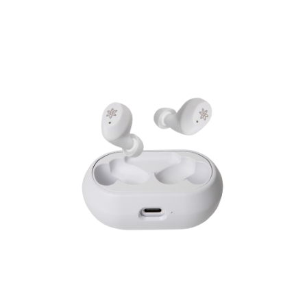 Proton Prix P1 True Wireless Earbuds